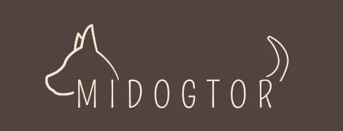 Dispositivo tecnológico para el cuidado de mascotas, con diseño moderno y funcional.
